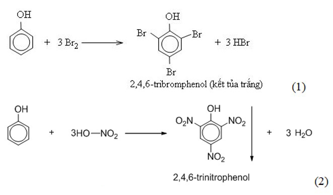 bai-41-phenol-bt-1