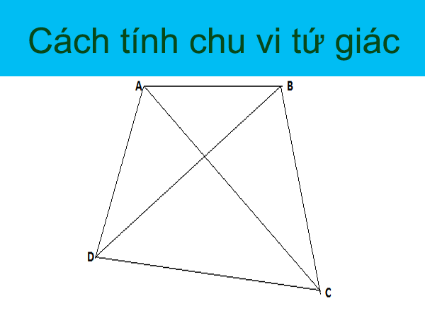 voh.com.vn-chu-vi-tu-giac-1