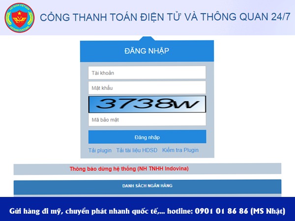 voh.com.vn-nop-thue-hai-quan-dien-tu-2
