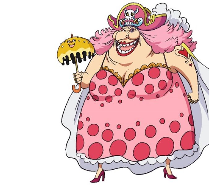 /XONG/ Nhân vật nữ trong One Piece: Được tổng hợp hình ảnh đầy đủ và chính xác nhấ 7