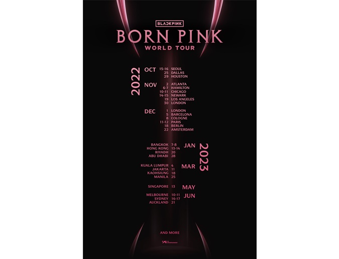BLACKPINK 為宣傳歌曲 Pink Venom 3 開展 Light Up The Pink 活動