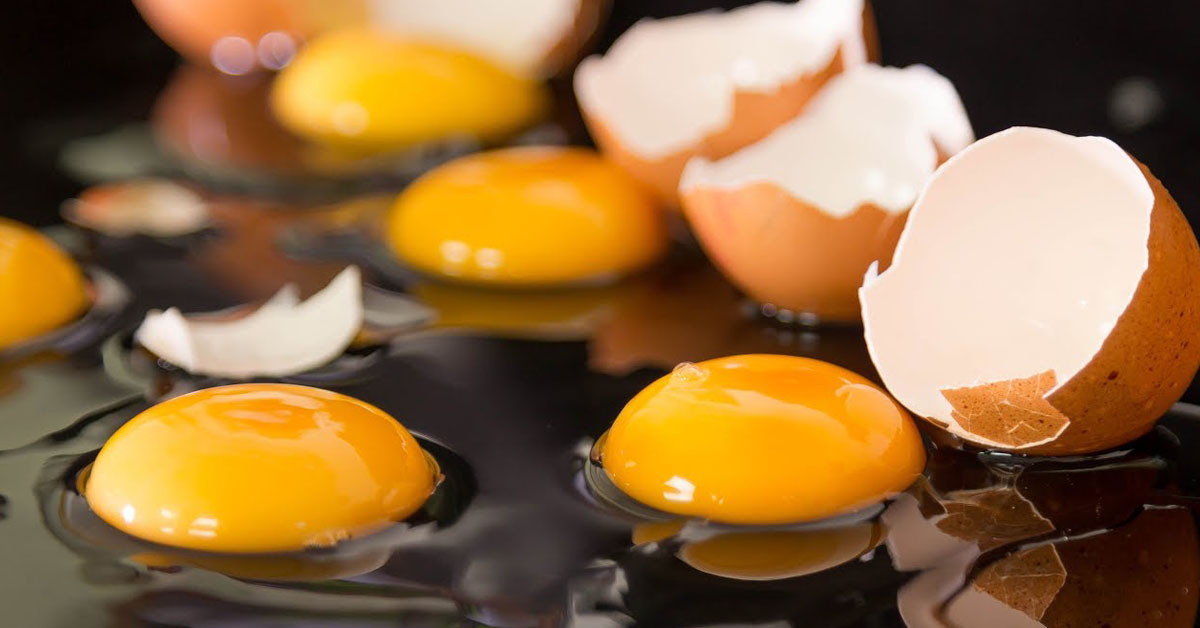 Giữa lòng trắng và lòng đỏ trứng gà cái nào bổ dưỡng hơn?