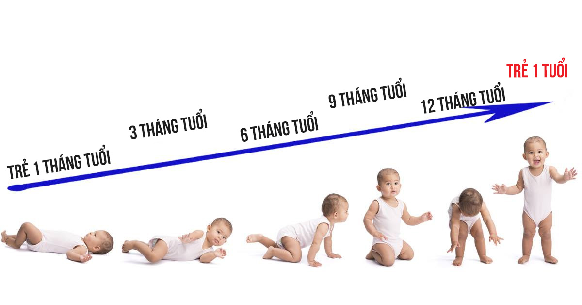 Cách nhận biết các giai đoạn phát triển của trẻ trong năm đầu đời
