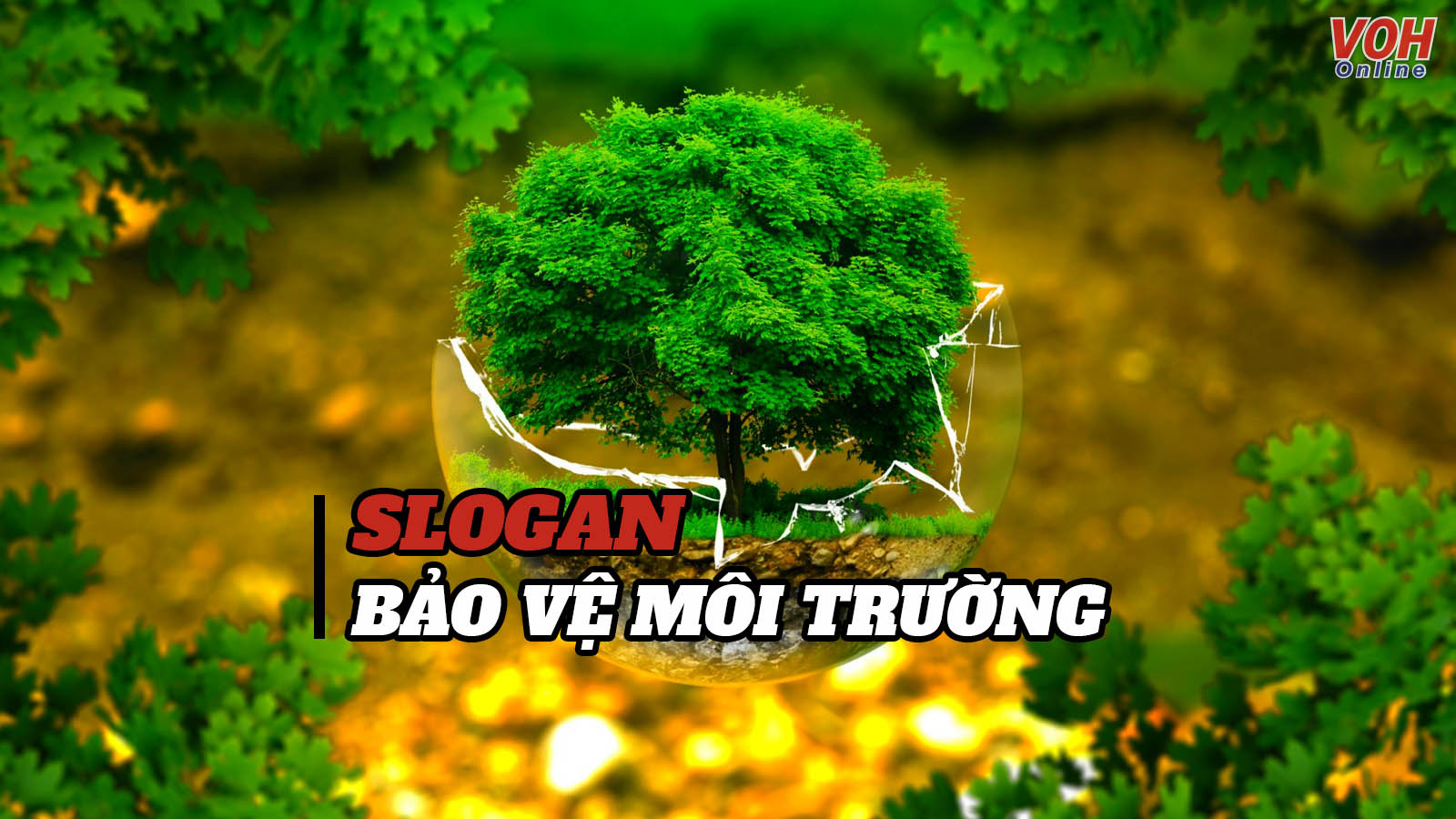 Slogan bảo vệ môi trường - Lời kêu gọi bảo vệ lá phổi xanh của nhân loại